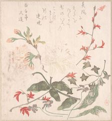 Lily, Violets, Cherry Blossoms, Forsythia, and a Branch of Red Maple, 18th-19th century. Creator: Unknown