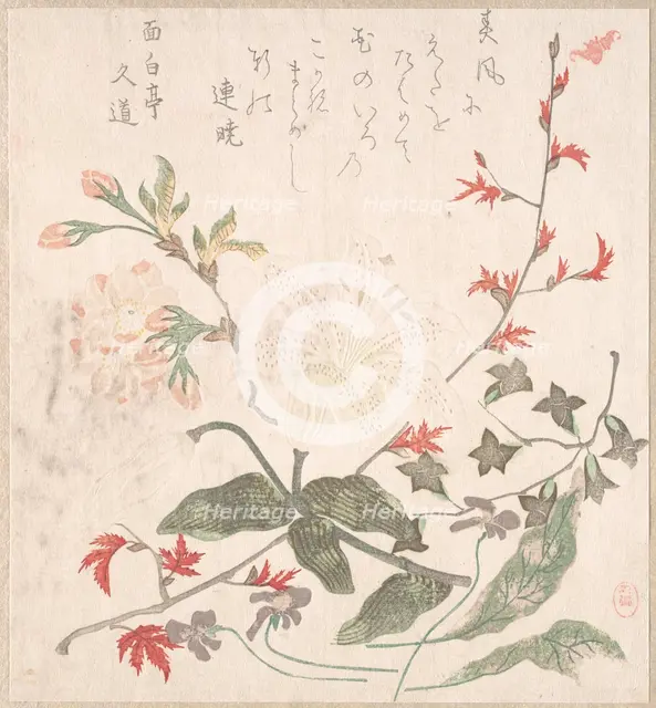 Lily, Violets, Cherry Blossoms, Forsythia, and a Branch of Red Maple, 18th-19th century. Creator: Unknown.