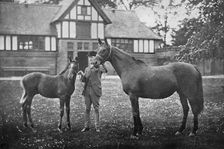 Lily Agnes, with Orelio by Bend Or, winner of £4955, 1894 (1938)