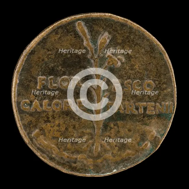 Lily and Inscription [reverse]. Creator: Lysippus Junior.