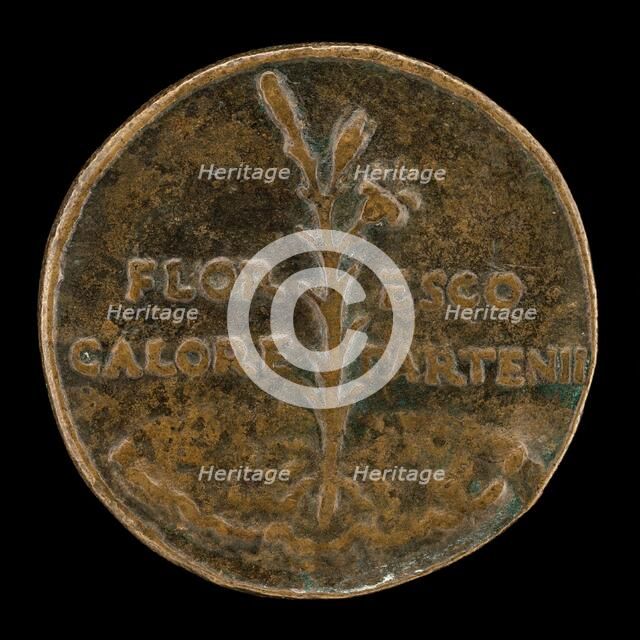 Lily and Inscription [reverse]. Creator: Lysippus Junior.