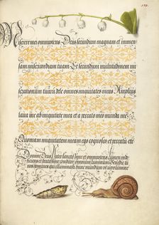 Lily-of-the-Valley, Pupa, and Land Snail, 1561-1562; illumination added 1591-1596. Creator: Joris Hoefnagel