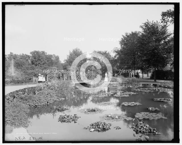 Lily pond, Belle Isle Park, Detroit, Mich., c.between 1900 and 1910. Creator: Unknown.