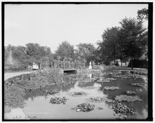 Lily pond, Belle Isle Park, Detroit, Mich., c.between 1900 and 1910. Creator: Unknown