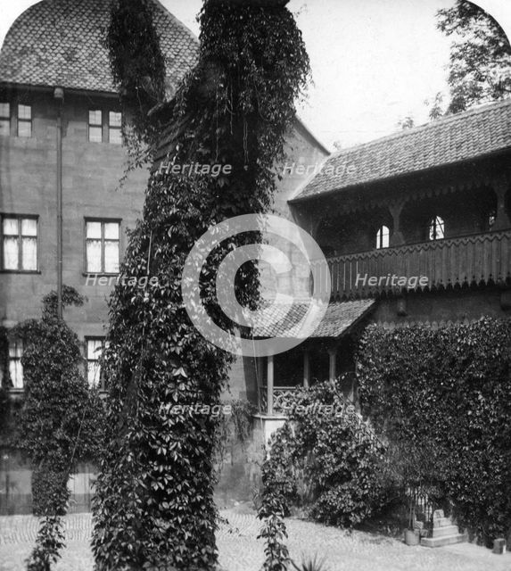 Lime tree in a courtyard, Nuremberg, Bavaria, Germany, c1900s.Artist: Wurthle & Sons