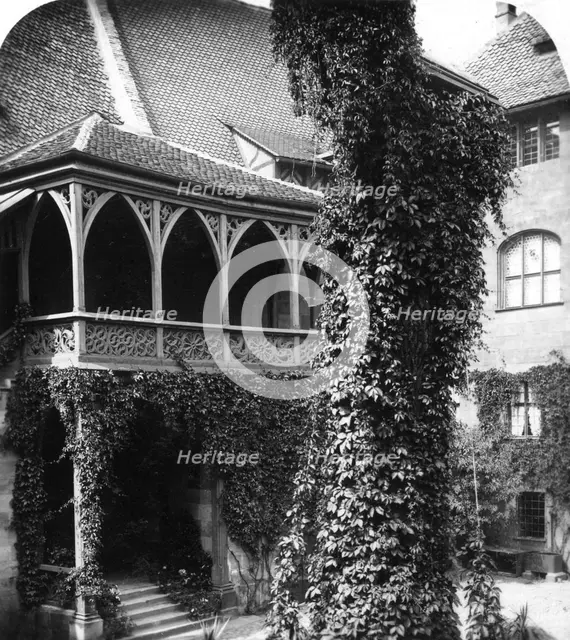 Lime tree in a courtyard, Nuremberg, Bavaria, Germany, c1900s.Artist: Wurthle & Sons