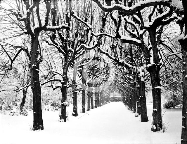 Lime walk in the snow, Trinity College, Oxford, Oxfordshire, 1880. Artist: Henry Taunt.