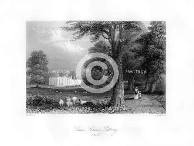 Lime Grove, Putney, 1846.Artist: TA Prior