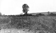 L'immense champ de Bataille 1914. Creator: Unknown