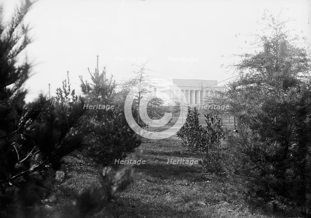 Lincoln Memorial Through Foliage of Potomac Park, 1917. Creator: Harris & Ewing.