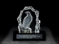 Lindbergh Eagle Award presented to Sally Ride, 1985. Creator: Malcolm & Hayes