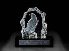 Lindbergh Eagle Award presented to Sally Ride, 1985. Creator: Malcolm & Hayes