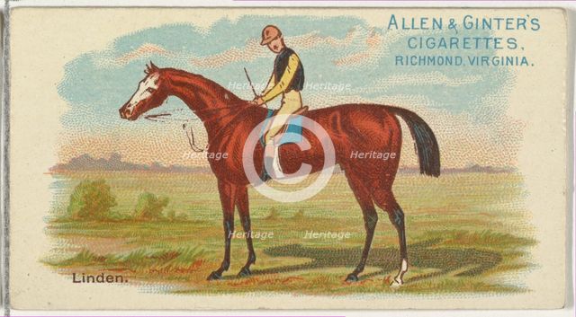 Linden, from The World's Racers series (N32) for Allen & Ginter Cigarettes, 1888. Creator: Allen & Ginter.