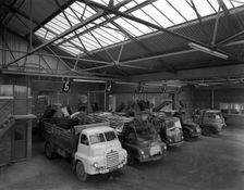 Line up of 1950s lorries at Spillers Animal Foods, Gainsborough, Lincolnshire, 1961. Creator: Michael Walters