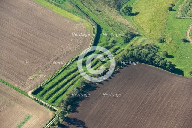 Linear boundary dykes on Huggate Pasture, part of the Wold Entrenchments, East Riding of Yorkshire,  Creator: Robyn Andrews.