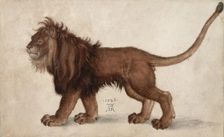 Lion, 1521. Creator: Dürer, Albrecht (1471-1528)