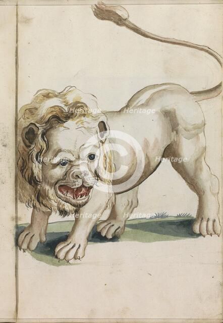 Lion, 1696. Creator: Hendrick van Beaumont.