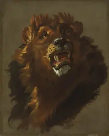 Lion, 1750s. Creator: Giuseppe Baldrighi (Italian, 1723-1803)