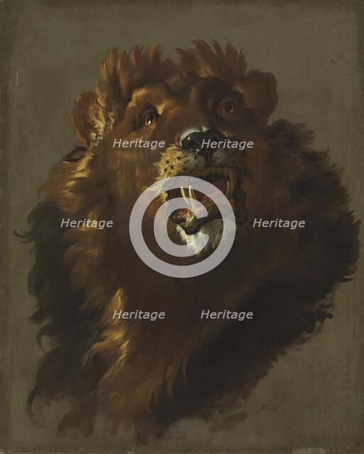 Lion, 1750s. Creator: Giuseppe Baldrighi (Italian, 1723-1803).