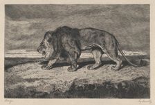 Lion walking, 1866-1897. Creator: Charles Courtry
