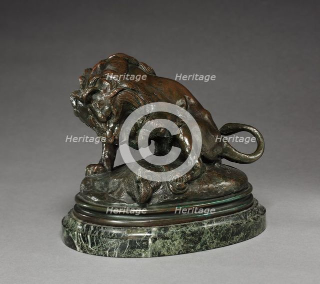 Lion and Serpent, c. 1830 - 1875. Creator: Antoine-Louis Barye (French, 1796-1875).