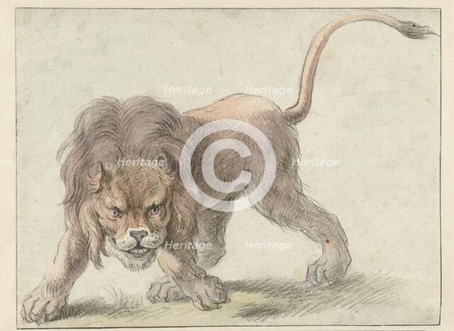 Lion, c.1626. Creator: Cornelis Saftleven.