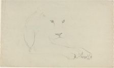 Lion. Creator: John Flaxman