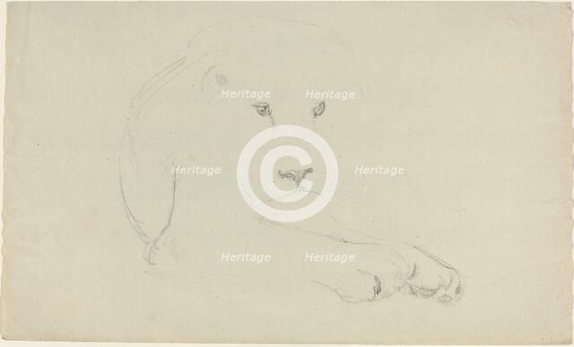 Lion. Creator: John Flaxman.