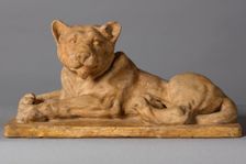 Lion cub, c1916. Creator: Arthur George Walker
