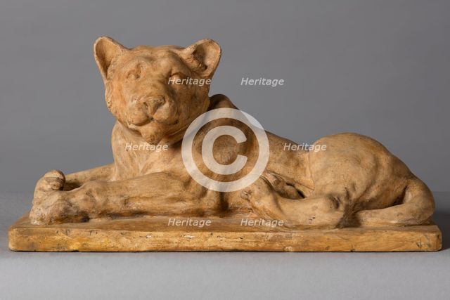 Lion cub, c1916. Creator: Arthur George Walker.