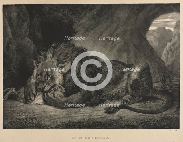 Lion de lAtlas, 1829. Creator: Eugène Delacroix (French, 1798-1863).