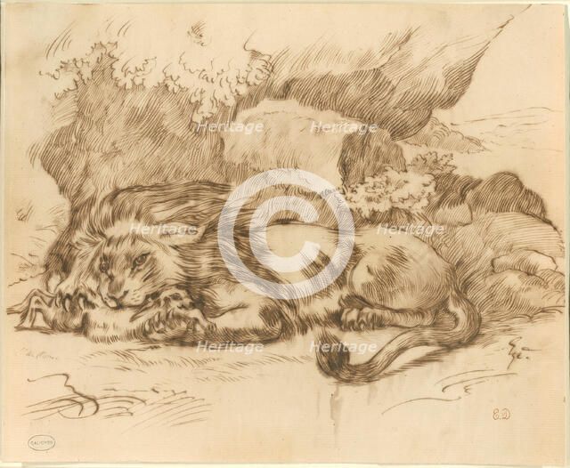 Lion Devouring a Rabbit, n.d. Creator: Eugene Delacroix.