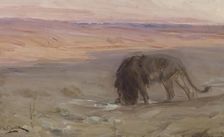 Lion Drinking, c1897. Creator: Henry Ossawa Tanner