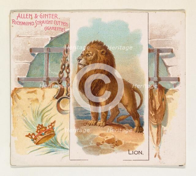 Lion, from Quadrupeds series (N41) for Allen & Ginter Cigarettes, 1890. Creator: Allen & Ginter.