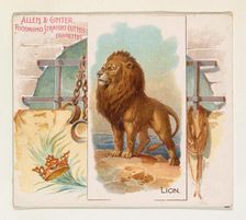 Lion, from Quadrupeds series (N41) for Allen & Ginter Cigarettes, 1890. Creator: Allen & Ginter