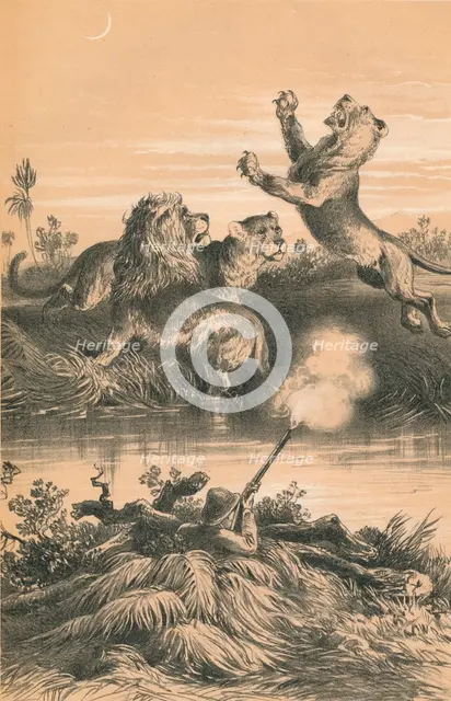 'Lion Hunting At Night', c1880. Artist: Unknown.