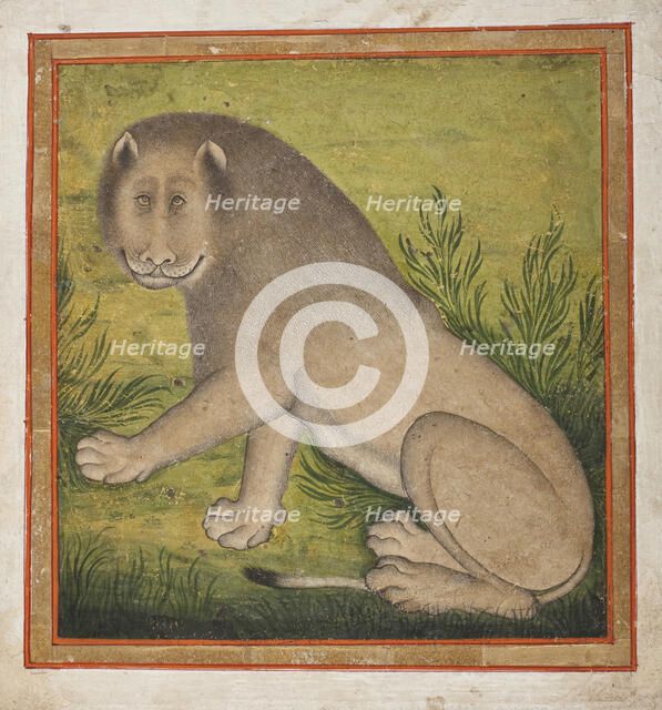 Lion (image 1 of 4), c1800. Creator: Unknown.