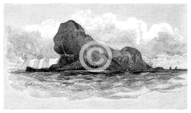 Lion Island, Australia, 1886. Artist: Unknown