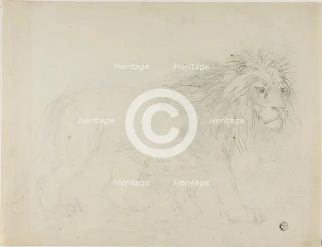 Lion, n.d. Creator: Sawrey Gilpin.