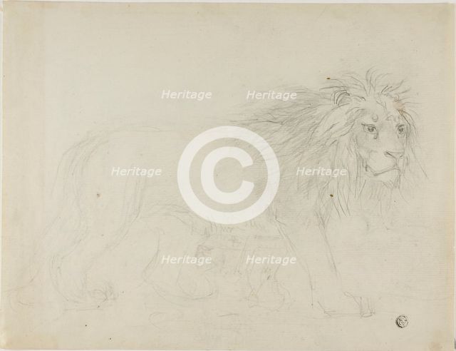 Lion, n.d. Creator: Sawrey Gilpin.
