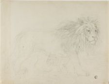 Lion, n.d. Creator: Sawrey Gilpin