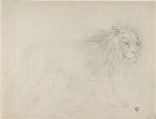 Lion, n.d. Creator: Sawrey Gilpin