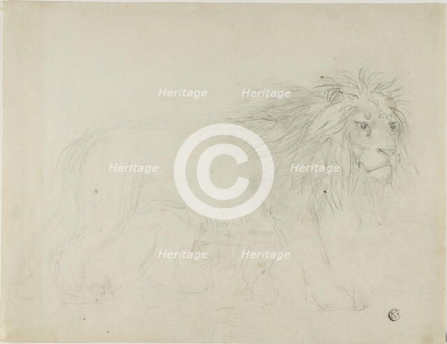 Lion, n.d. Creator: Sawrey Gilpin.