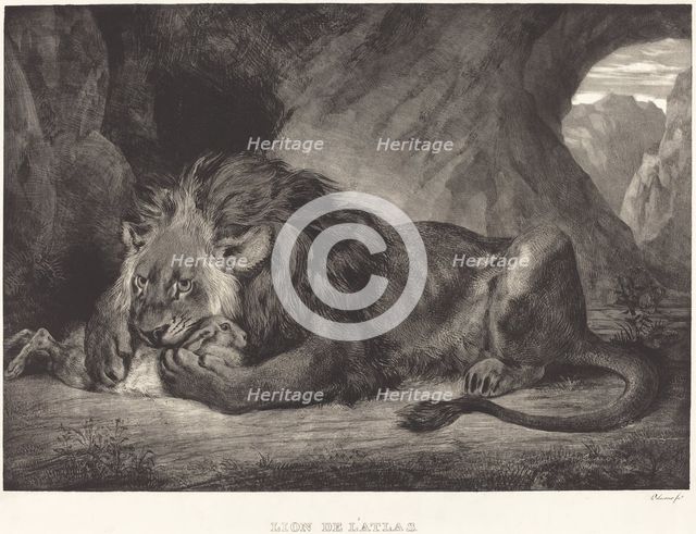 Lion of the Atlas Mountains (Lion de l'Atlas), 1829. Creator: Eugene Delacroix.