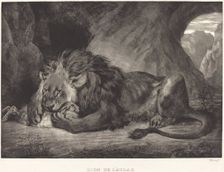 Lion of the Atlas Mountains (Lion de l'Atlas), 1829. Creator: Eugene Delacroix