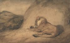 Lion Resting, 1810-75. Creator: Antoine-Louis Barye