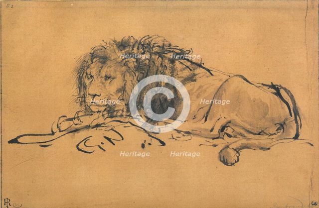 Lion Resting, Turned to the Left, c1650. Artist: Rembrandt Harmensz van Rijn    