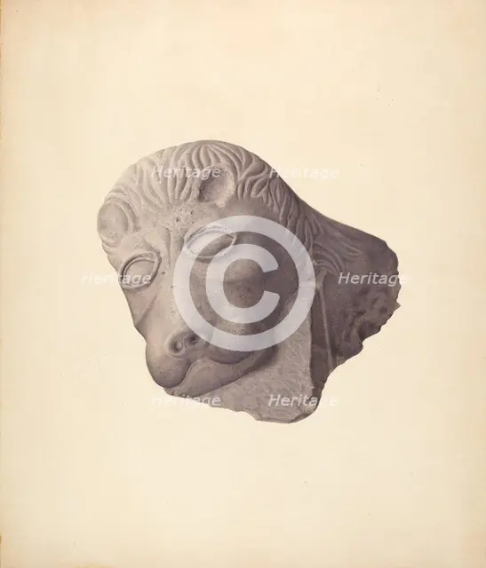 Lion's Head (one of pair), c. 1940. Creator: Edward DiGennero.