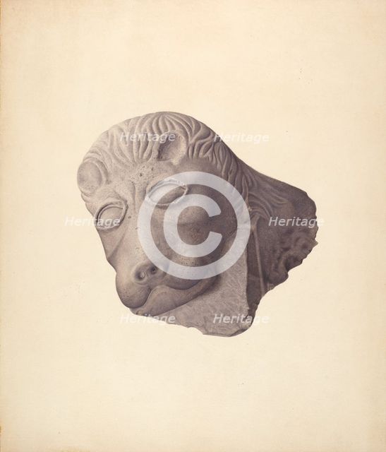 Lion's Head (one of pair), c. 1940. Creator: Edward DiGennero.