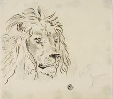 Lion's Head, n.d. Creator: Sawrey Gilpin
